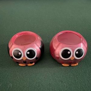 Rocket Farms Metallic Owl Succulent Pots